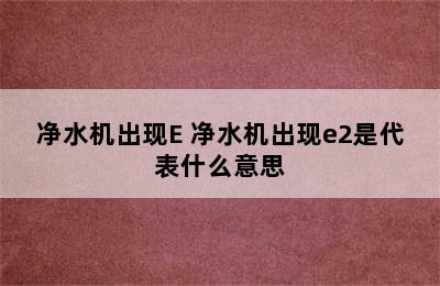 净水机出现E 净水机出现e2是代表什么意思